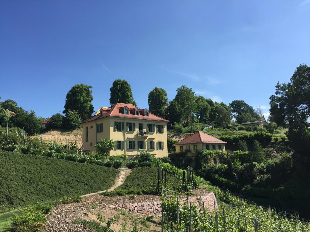 Rebenhaus マイセン エクステリア 写真